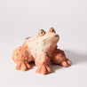 Studio Terracotta - Small Frog Planter